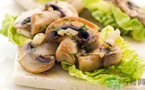 蘑菇和茄子能一起吃嗎？蘑菇和茄子一起吃會中毒嗎？