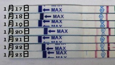 女性排卵期怎么計(jì)算最準(zhǔn)確 女性排卵期怎么計(jì)算最準(zhǔn)確