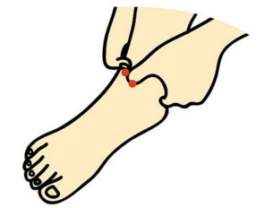 1449458059390496.jpg snap0468.jpg