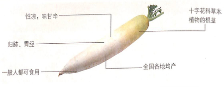 1449813497919139.jpg 3.jpg