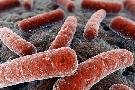 1449889436600137.jpg 8058192_980x1200_0.jpg