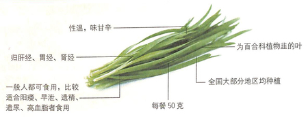 大寒吃什么好?韭菜能補肝腎,壯陽固精 大寒吃什么好?韭菜能補肝腎,壯陽固精