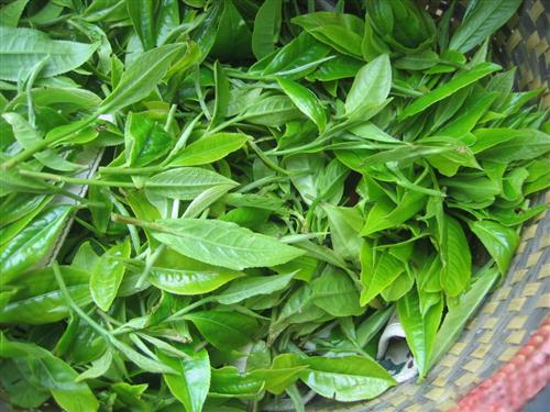 1450769099314795.jpg 0_hongyun_1006_20140510093834.jpg