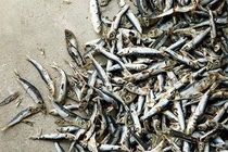 ?蚵仔湯抗痘、泡菜拌飯助睡眠 10款排毒抗發(fā)炎菜單