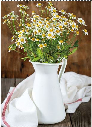 1451543623486573.jpg snap043.jpg