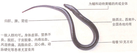 1451961730243116.jpg 3.jpg