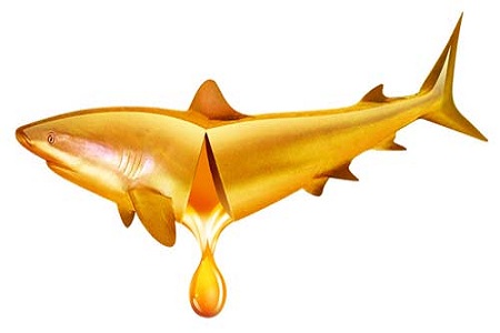 孕期怎么補(bǔ)充營(yíng)養(yǎng)?魚油可幫助 孕期怎么補(bǔ)充營(yíng)養(yǎng)?魚油可幫助