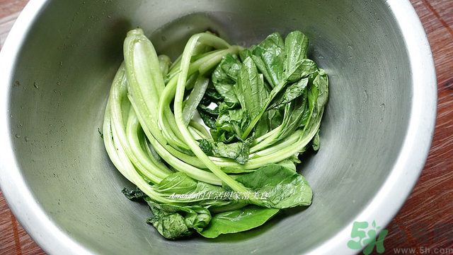 雪里紅腌制方法 芥菜腌制多長時(shí)間能吃 雪里紅腌制方法 芥菜腌制多長時(shí)間能吃