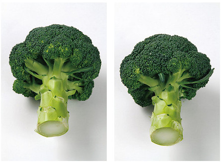 綠花椰挑選切口呈漂亮的圓形，花蕾緊密的