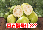 番石榴是什么東西?吃番石榴會便秘嗎?