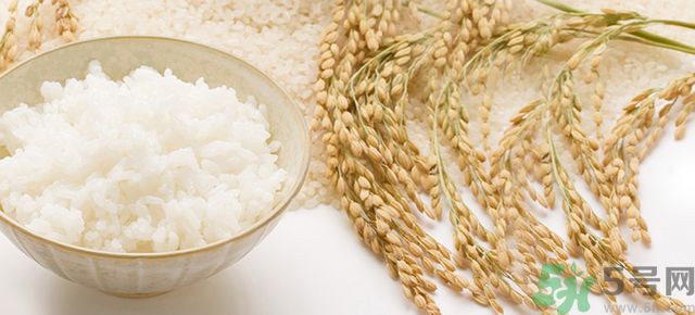 飯團(tuán)減肥法 碳水化合物吃了卻能瘦 飯團(tuán)減肥法 碳水化合物吃了卻能瘦