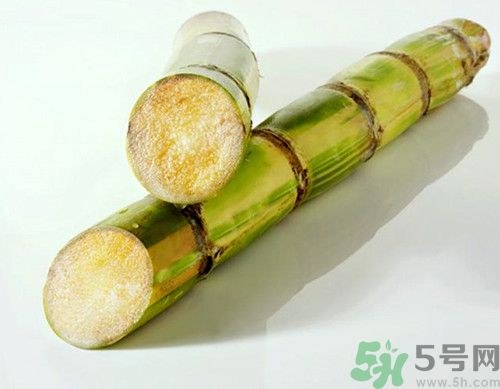 甘蔗的功效與作用是什么 甘蔗的功效與作用是什么