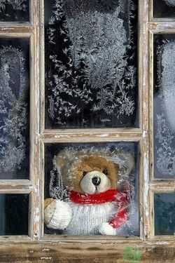 熱休克反應是什么?