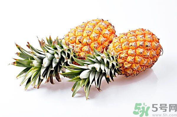 芒果和菠蘿能一起吃嗎？芒果和菠蘿一起吃好嗎？