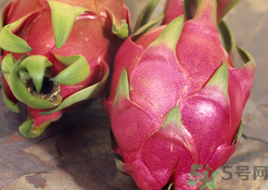 火龍果皮有什么用?火龍果皮的功效與作用.png 火龍果皮有什么用?火龍果皮的功效與作用.png