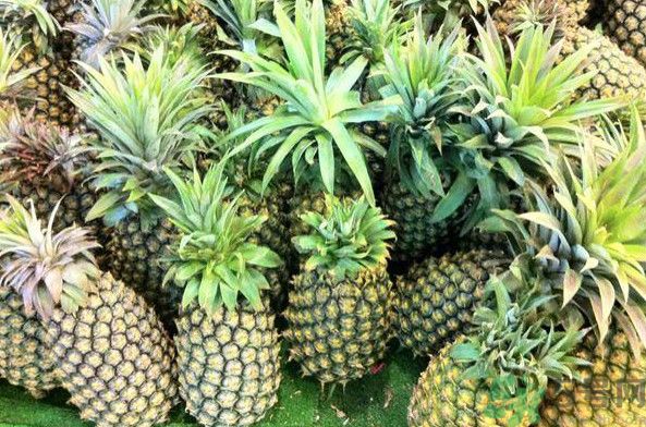 菠蘿和香蕉可以一起吃嗎？菠蘿可以做湯嗎？