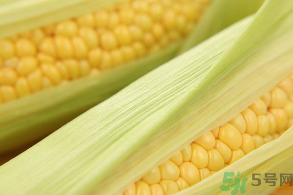 哺乳期能吃玉米回奶嗎？產婦吃玉米會回奶嗎？