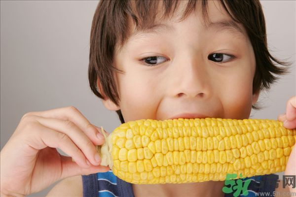 痔瘡可以吃玉米嗎？得了痔瘡能不能吃玉米？