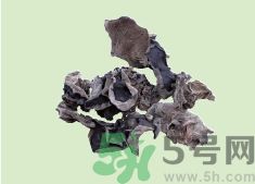 高血壓可以吃黑木耳嗎？木耳降血壓的做法有哪些？