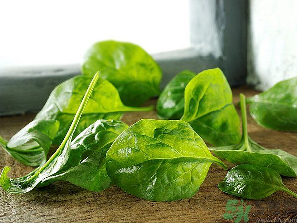 缺鐵有什么癥狀和危害？含鐵高的食物有哪些？