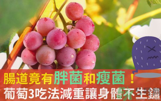 吃葡萄可以不吐葡萄籽嗎？吃葡萄皮好不好？
