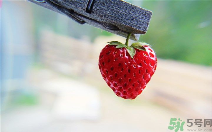 如何辨別草莓有沒有打膨大劑？如何清洗草莓才干凈？