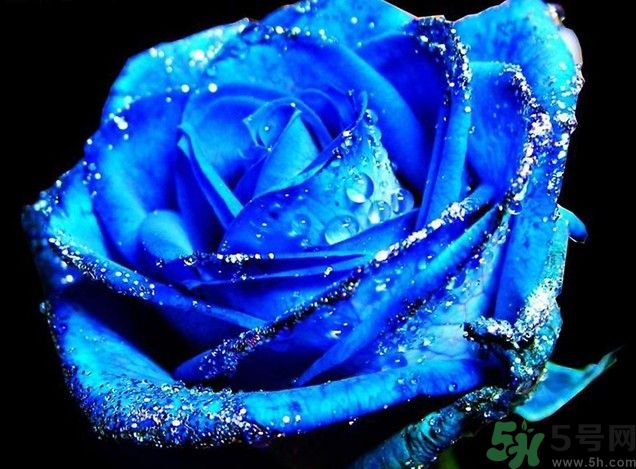 懷孕了能養(yǎng)花嗎？養(yǎng)什么花對(duì)胎兒好？