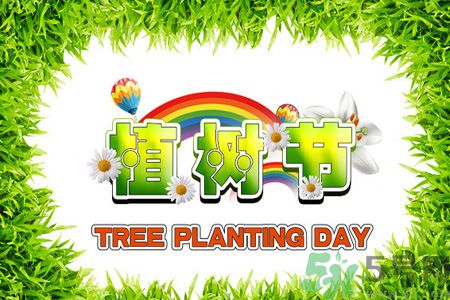 植樹(shù)節(jié)在哪里可以買(mǎi)樹(shù)苗?植樹(shù)節(jié)可以自己種樹(shù)嗎?