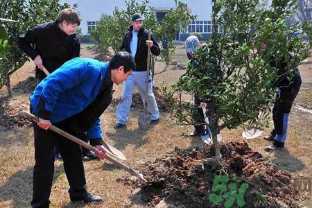 如何提高植樹的成活率？植樹節(jié)種樹要注意哪些細節(jié)？