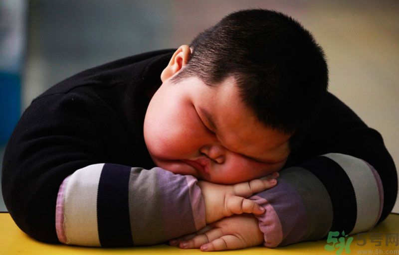 長得太胖有人要嗎？ 要怎么才能找到女朋友？