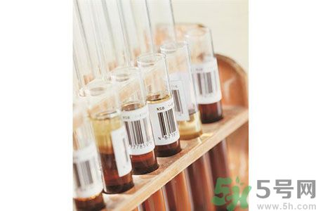 什么是茲卡病毒？茲卡病毒會死人嗎？