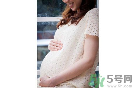 什么是茲卡病毒？茲卡病毒會死人嗎？