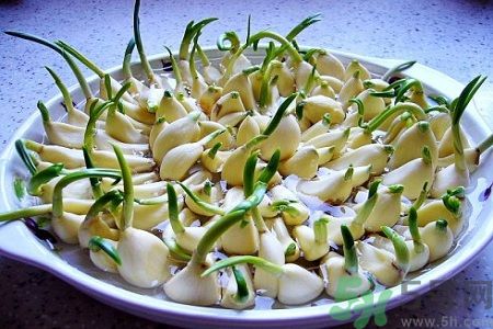 吃大蒜能降血壓?jiǎn)幔看笏獍l(fā)芽了還能吃嗎？
