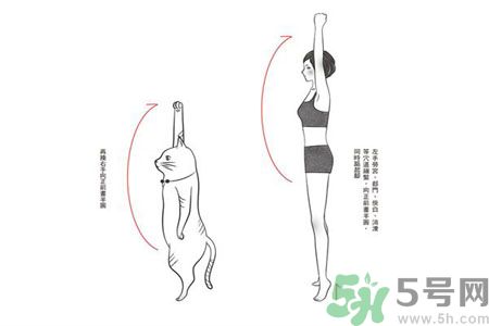 電腦族肩膀痛疼怎么辦？肩膀痛疼怎么解決？