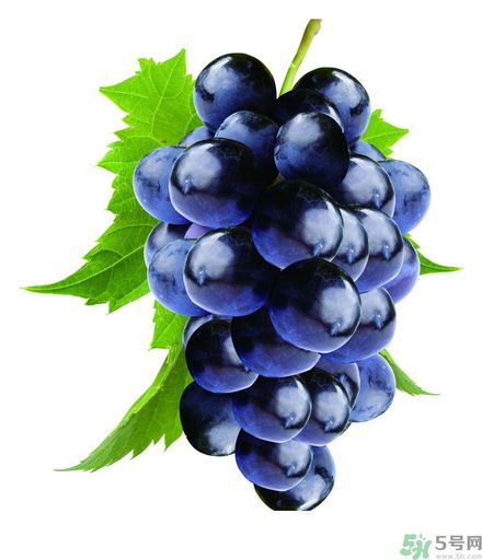 女生宮寒可以吃葡萄嗎？宮寒怎樣調(diào)理？