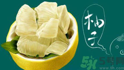 多吃柚子能減肥嗎？怎樣吃柚子才健康？