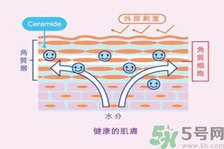 皮膚炎癢是怎么回事？皮膚炎發(fā)作怎么治療？