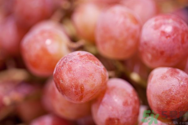 吃葡萄對皮膚好嗎？吃葡萄可以延緩衰老嗎？