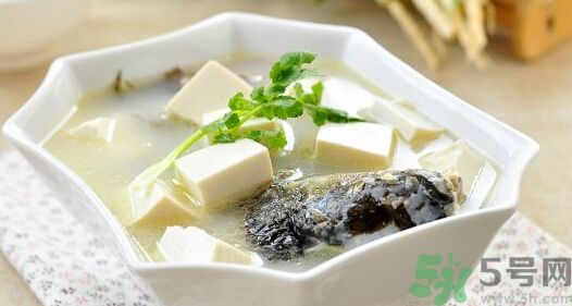 吃魚真的能變聰明嗎？喝魚湯有什么好處？