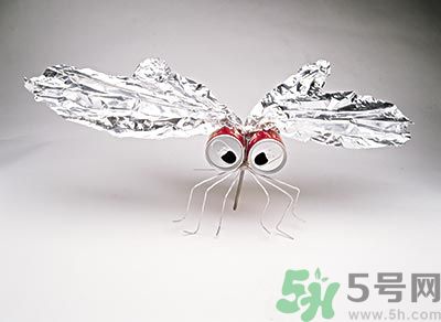 黃熱病是什么樣的疾??？黃熱病有哪些癥狀？