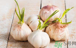 蒜頭長(zhǎng)芽還能吃嗎?蒜頭長(zhǎng)芽可以吃嗎?