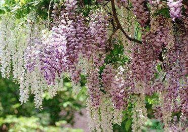 春天吃什么蔬菜好？春天吃蔬菜對身體有什么好？