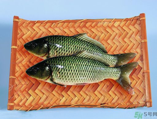 孕婦吃什么魚對胎兒好？孕婦吃什么魚最好？