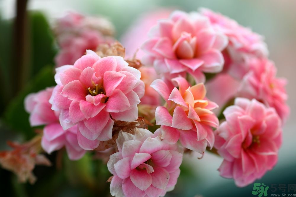 怎么才能更加長壽？要長壽需要做什么？