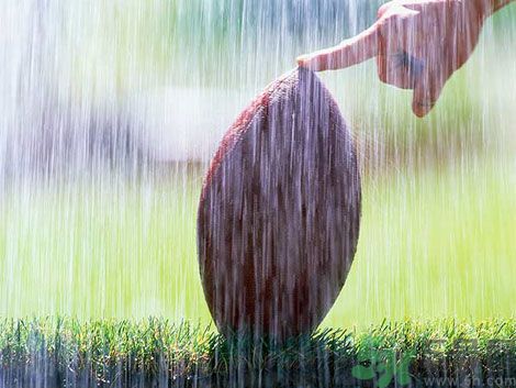 濕氣重的癥狀？怎么去除體內(nèi)的濕氣？