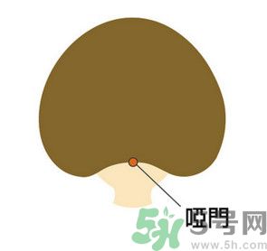 臉總是腫腫的怎么辦？臉有點(diǎn)浮腫怎么消腫？