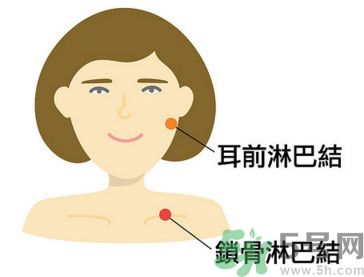 臉總是腫腫的怎么辦？臉有點(diǎn)浮腫怎么消腫？