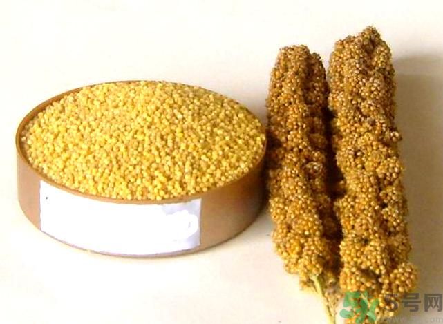 失眠吃什么才能好好睡覺？失眠了應(yīng)該怎么辦？