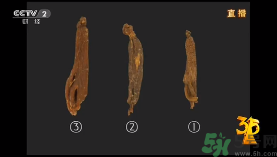 紅參怎么挑選？紅參摻糖怎么辯解？