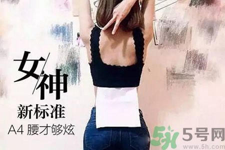 B5腰圍比A4腰圍更好？B5腰是什么意思？